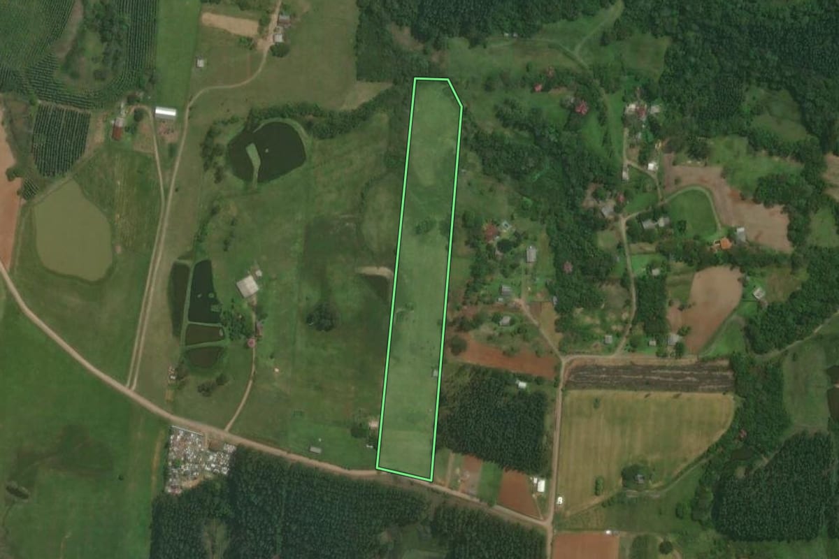 Imagem de satélite do imóvel rural em Triunfo (RS), com o contorno declarado no CAR desenhado por cima.