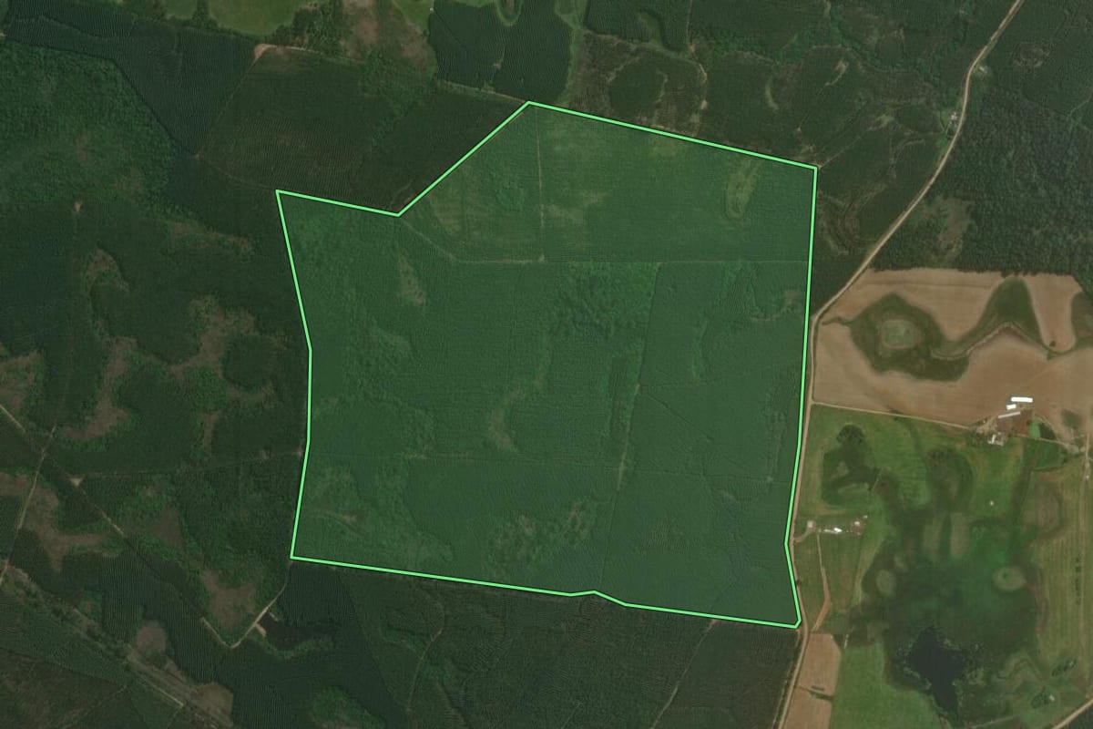 Imagem de satélite do imóvel rural em Triunfo (RS), com o contorno declarado no CAR desenhado por cima.