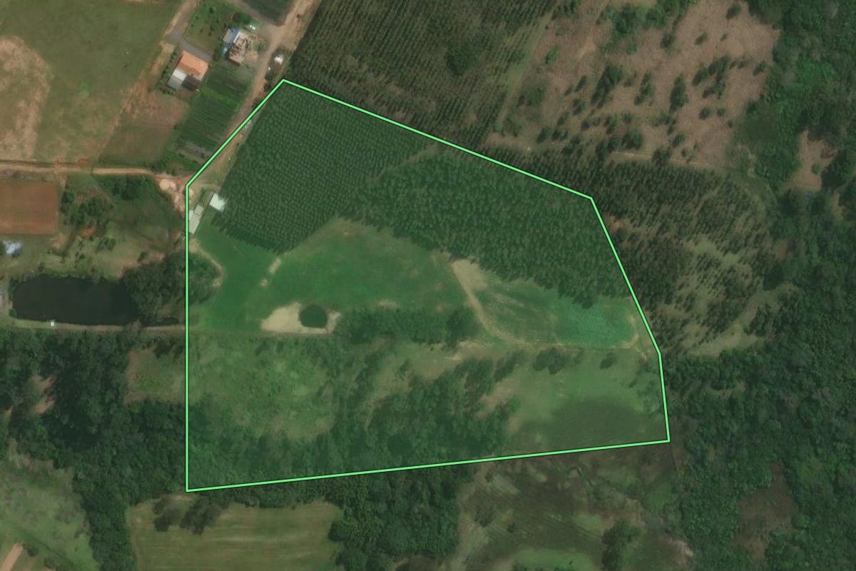 Imagem de satélite do imóvel rural em Triunfo (RS), com o contorno declarado no CAR desenhado por cima.