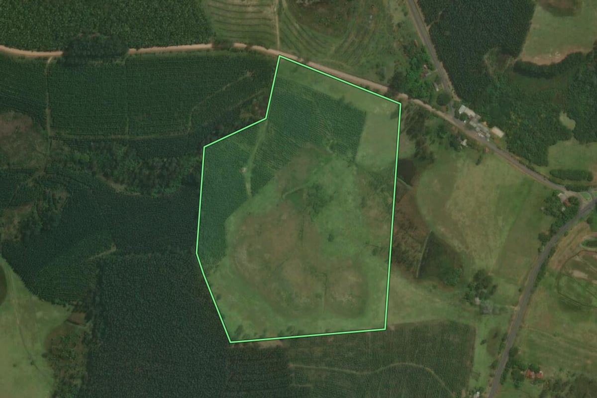 Imagem de satélite do imóvel rural em Triunfo (RS), com o contorno declarado no CAR desenhado por cima.