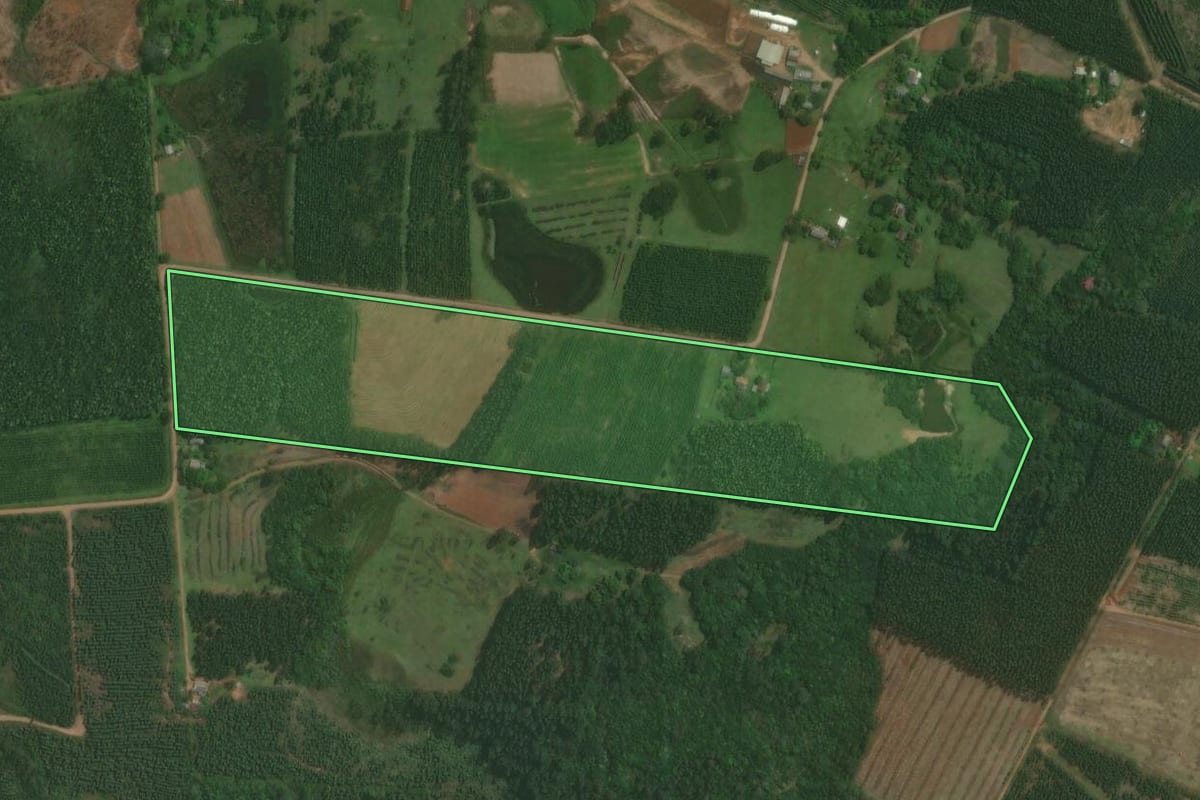 Imagem de satélite do imóvel rural em Triunfo (RS), com o contorno declarado no CAR desenhado por cima.