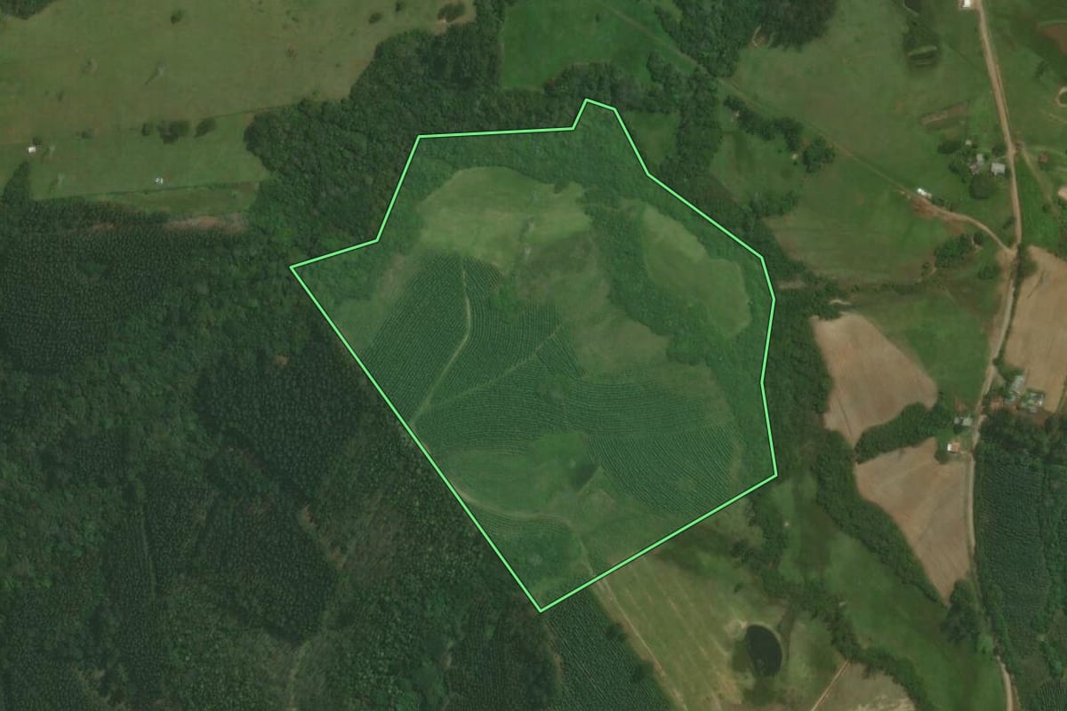 Imagem de satélite do imóvel rural em Triunfo (RS), com o contorno declarado no CAR desenhado por cima.