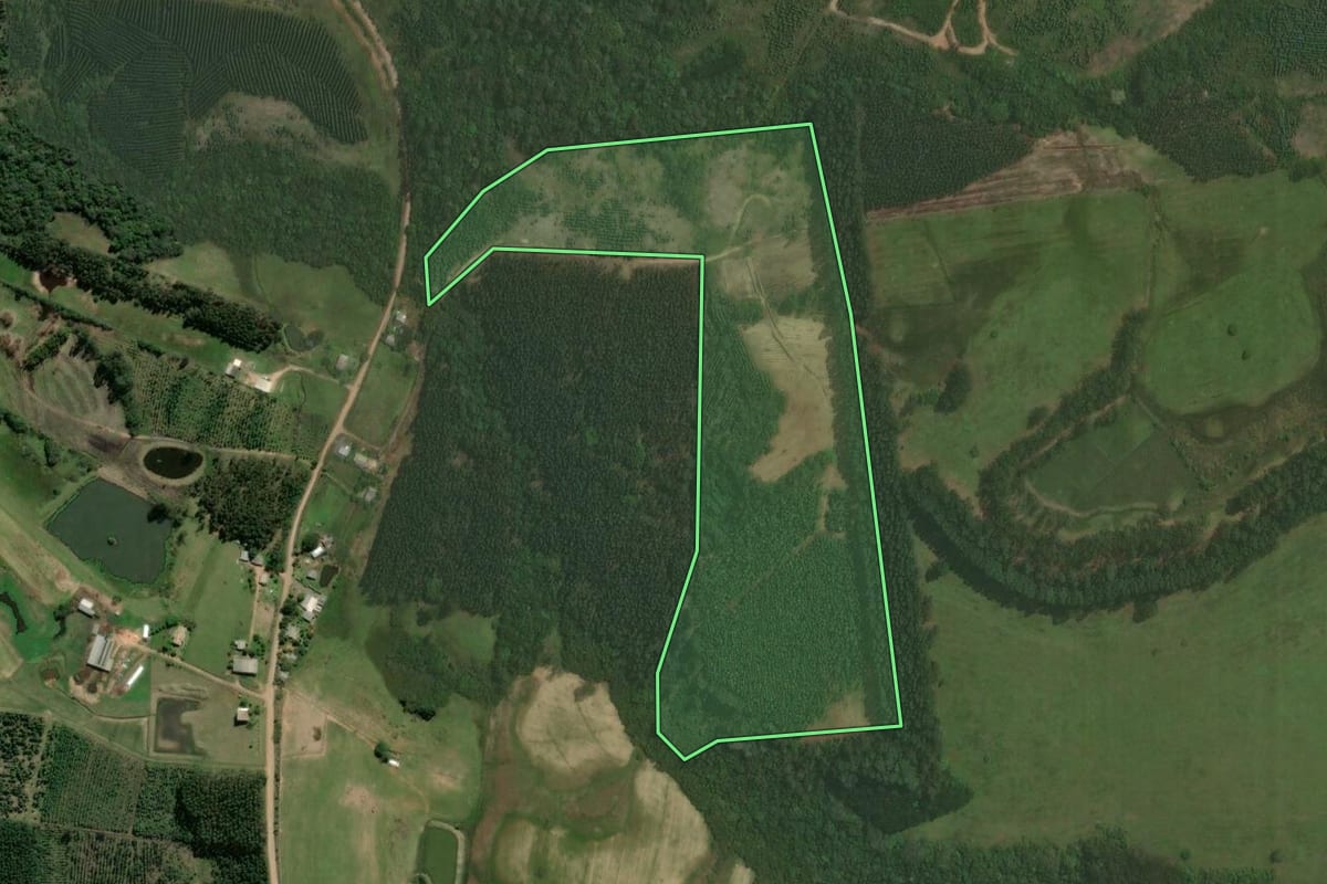 Imagem de satélite do imóvel rural em Triunfo (RS), com o contorno declarado no CAR desenhado por cima.