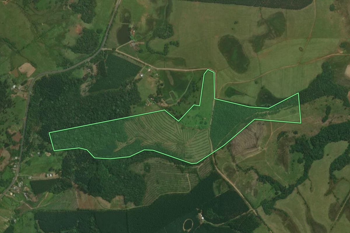 Imagem de satélite do imóvel rural em Triunfo (RS), com o contorno declarado no CAR desenhado por cima.