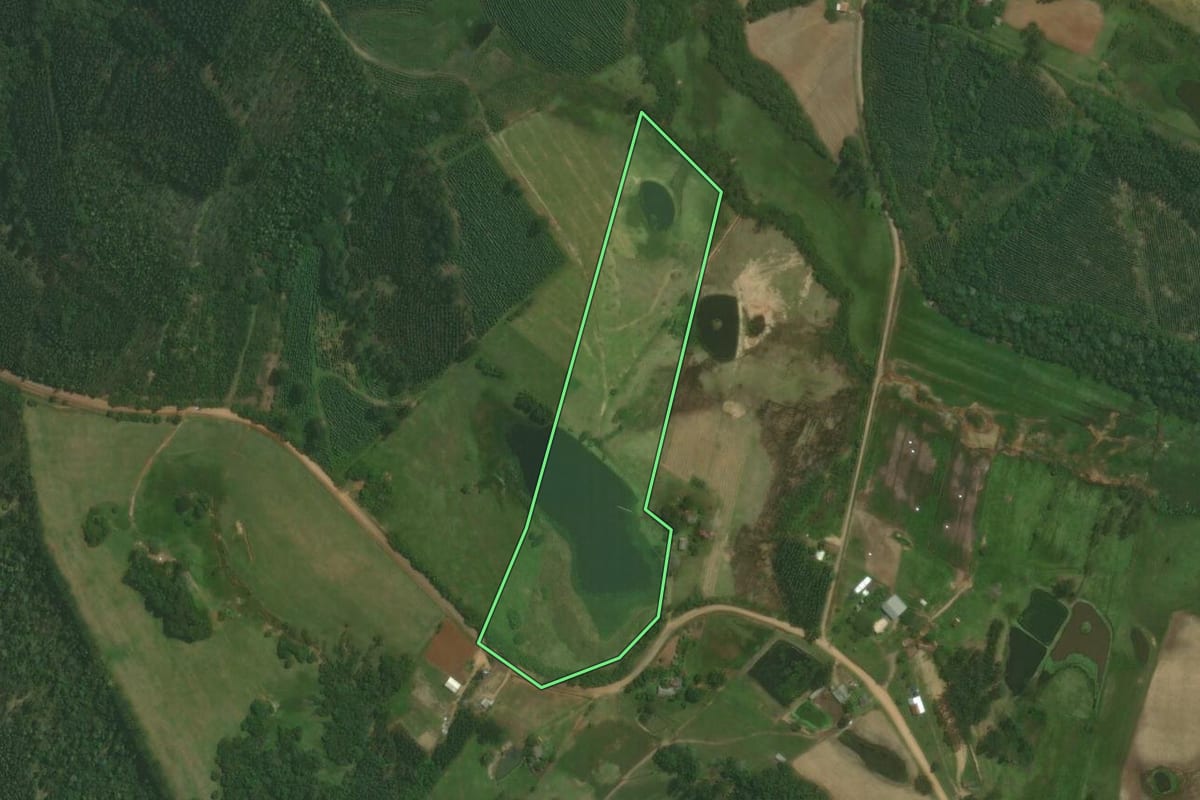 Imagem de satélite do imóvel rural em Triunfo (RS), com o contorno declarado no CAR desenhado por cima.