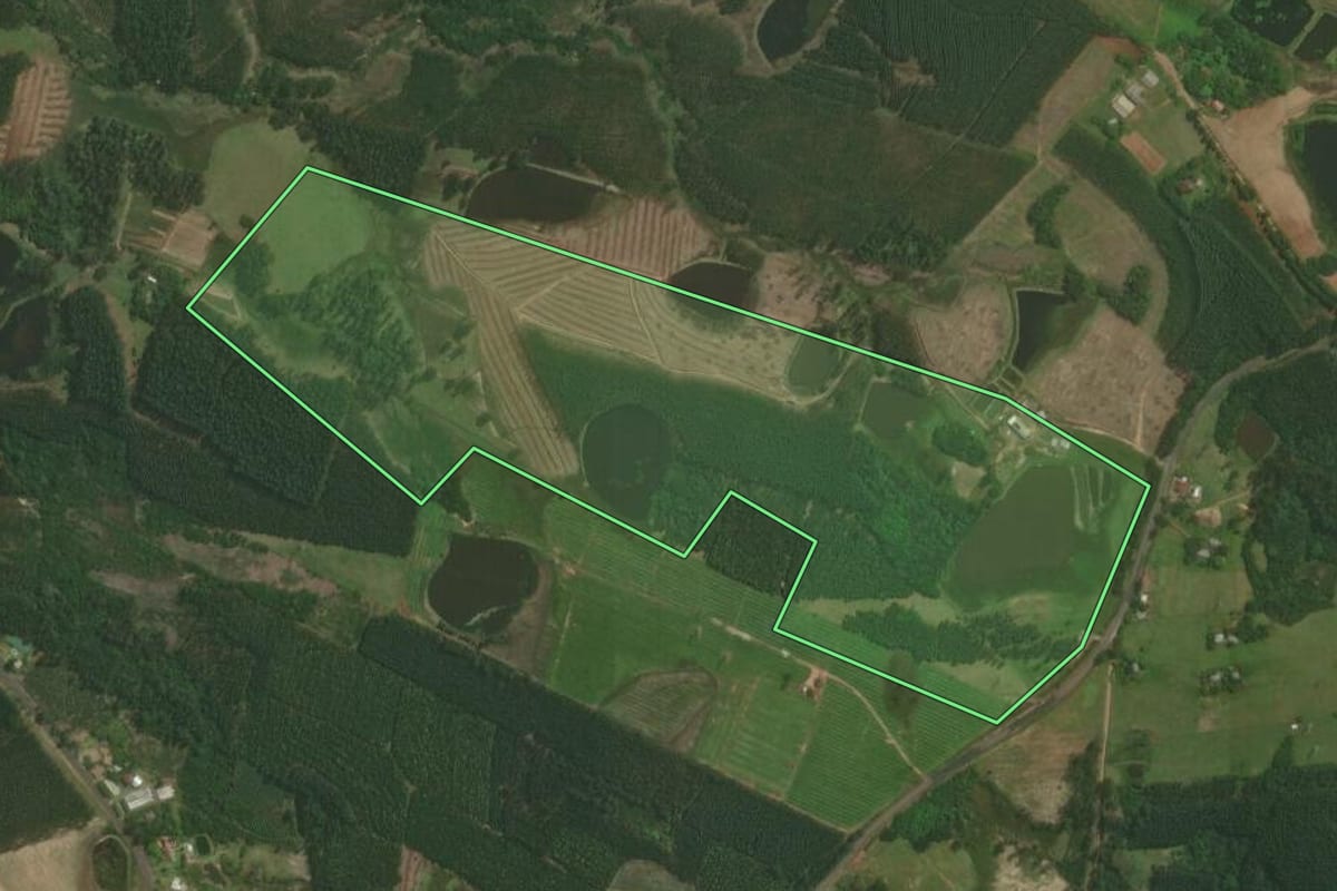 Imagem de satélite do imóvel rural em Triunfo (RS), com o contorno declarado no CAR desenhado por cima.