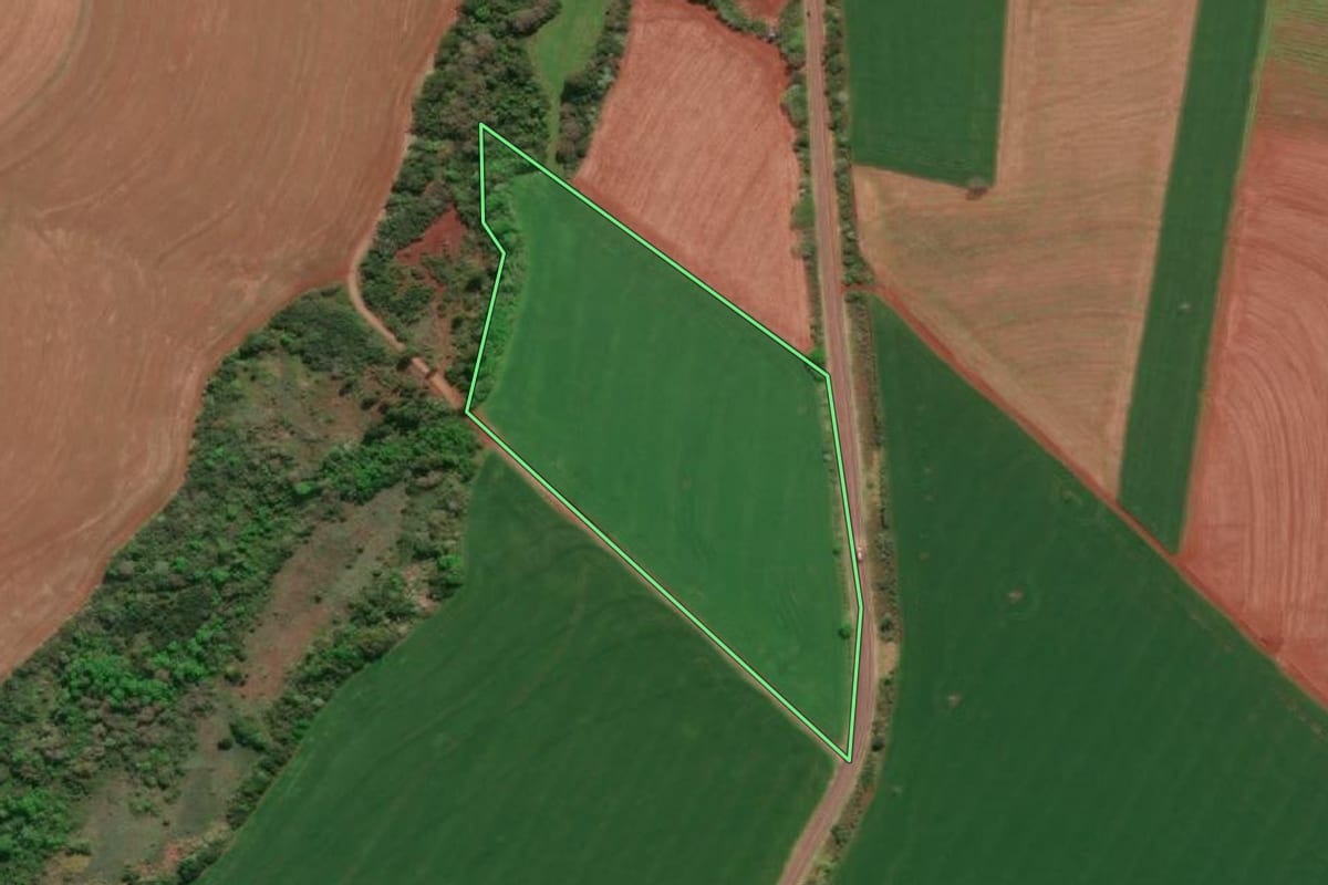 Imagem de satélite do imóvel rural em Tucunduva (RS), com o contorno declarado no CAR desenhado por cima.