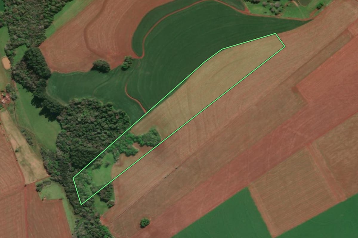 Imagem de satélite do imóvel rural em Tucunduva (RS), com o contorno declarado no CAR desenhado por cima.