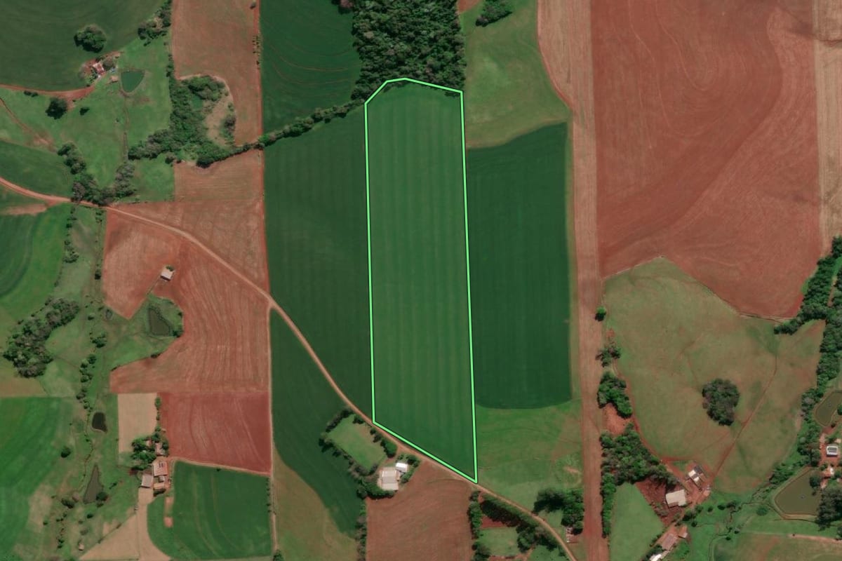 Imagem de satélite do imóvel rural em Tucunduva (RS), com o contorno declarado no CAR desenhado por cima.