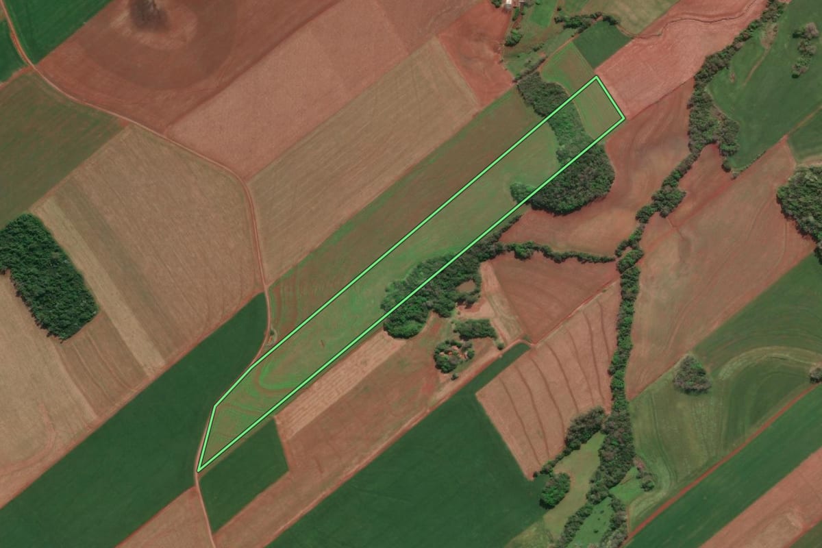 Imagem de satélite do imóvel rural em Tucunduva (RS), com o contorno declarado no CAR desenhado por cima.