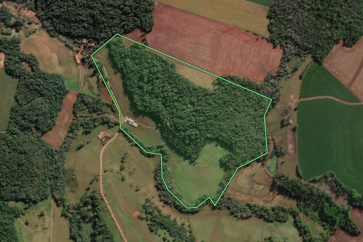 Imagem de satélite do imóvel rural em Tucunduva (RS), com o contorno declarado no CAR desenhado por cima.