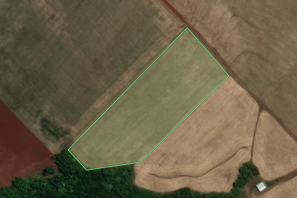 Imagem de satélite do imóvel rural em Tucunduva (RS), com o contorno declarado no CAR desenhado por cima.