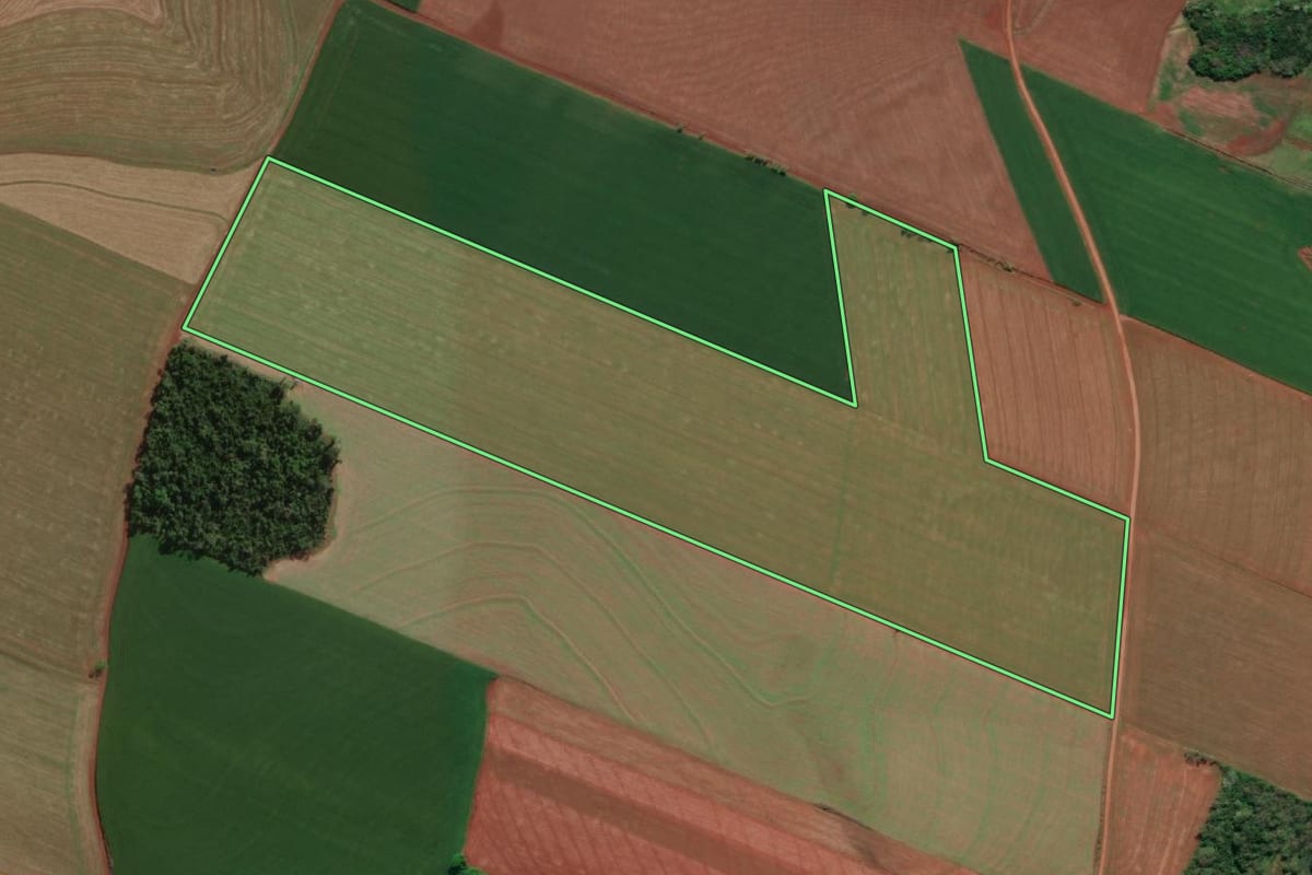 Imagem de satélite do imóvel rural em Tucunduva (RS), com o contorno declarado no CAR desenhado por cima.