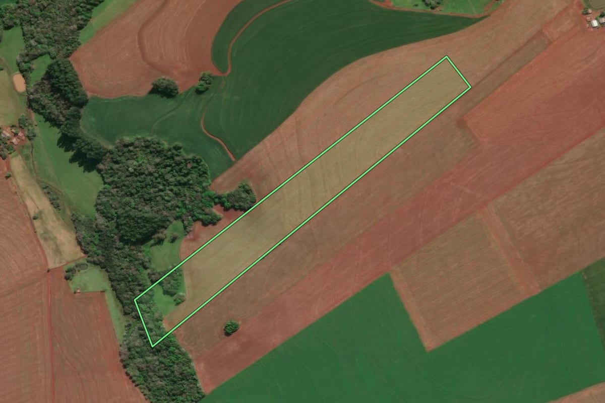 Imagem de satélite do imóvel rural em Tucunduva (RS), com o contorno declarado no CAR desenhado por cima.