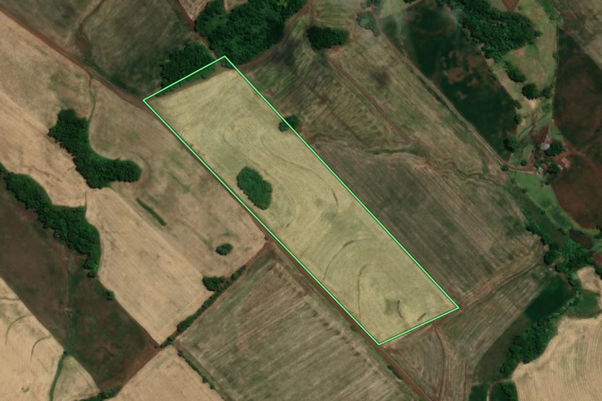 Imagem de satélite do imóvel rural em Tucunduva (RS), com o contorno declarado no CAR desenhado por cima.