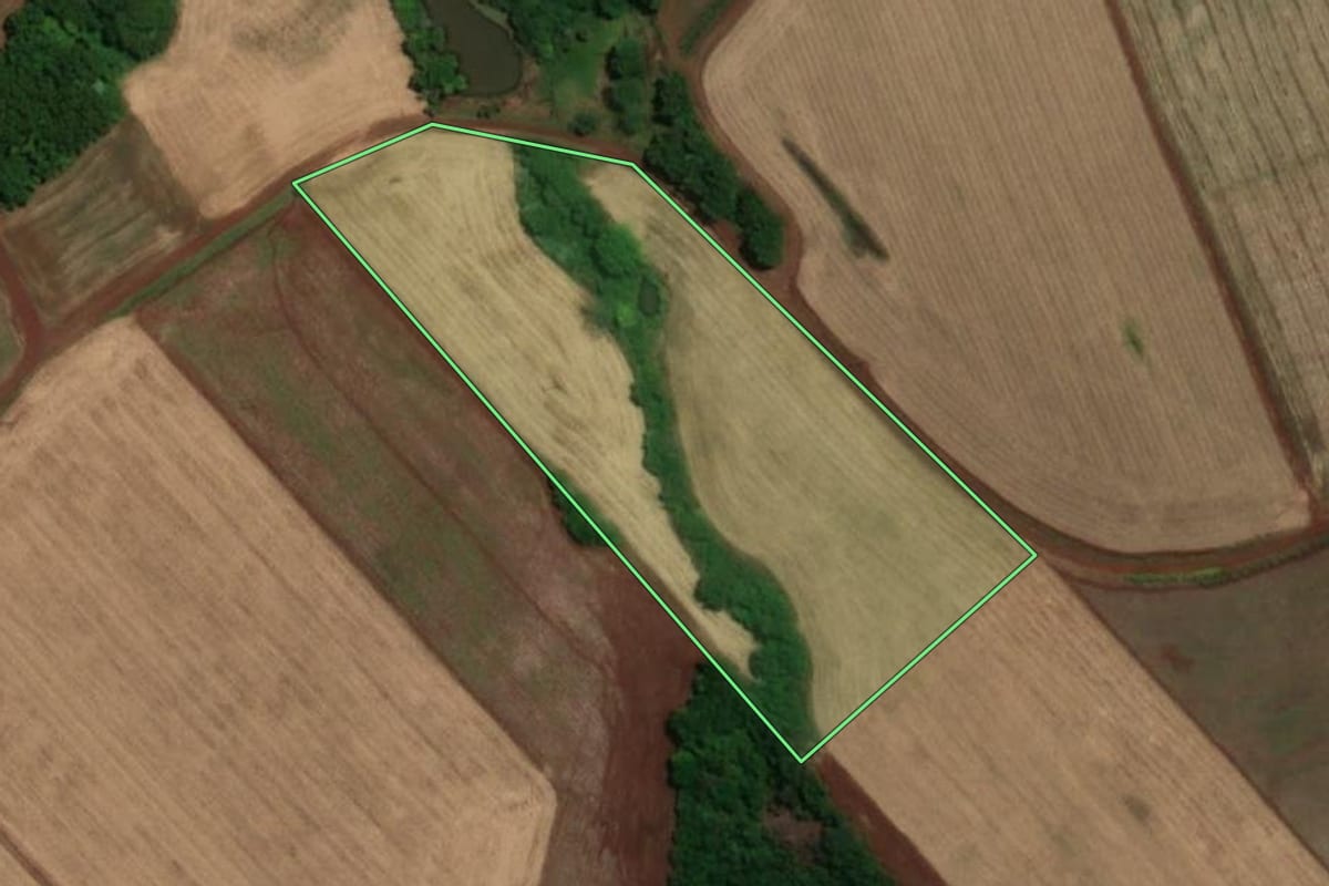 Imagem de satélite do imóvel rural em Tucunduva (RS), com o contorno declarado no CAR desenhado por cima.