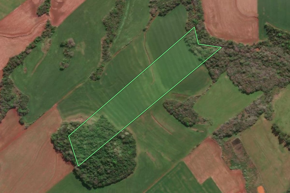 Imagem de satélite do imóvel rural em Tucunduva (RS), com o contorno declarado no CAR desenhado por cima.