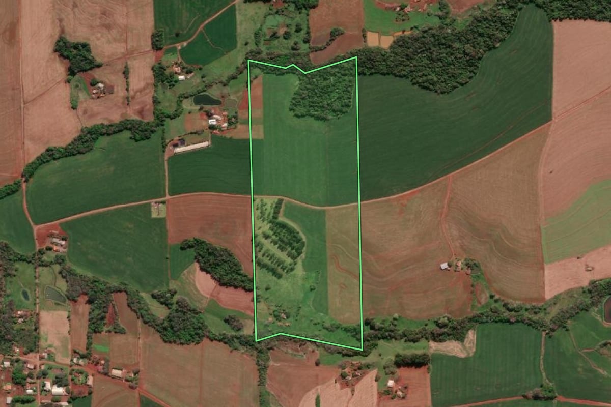 Imagem de satélite do imóvel rural em Tucunduva (RS), com o contorno declarado no CAR desenhado por cima.