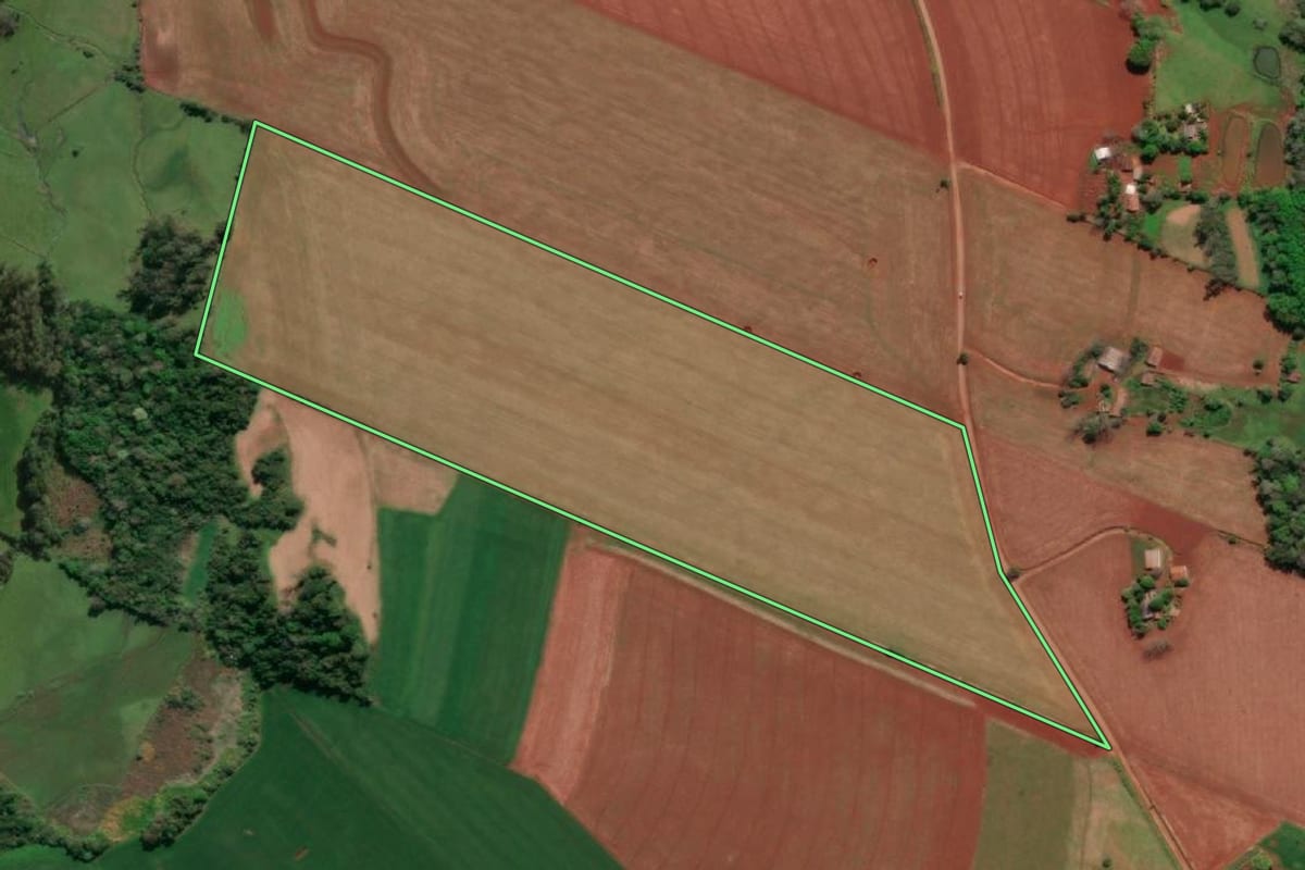 Imagem de satélite do imóvel rural em Tucunduva (RS), com o contorno declarado no CAR desenhado por cima.