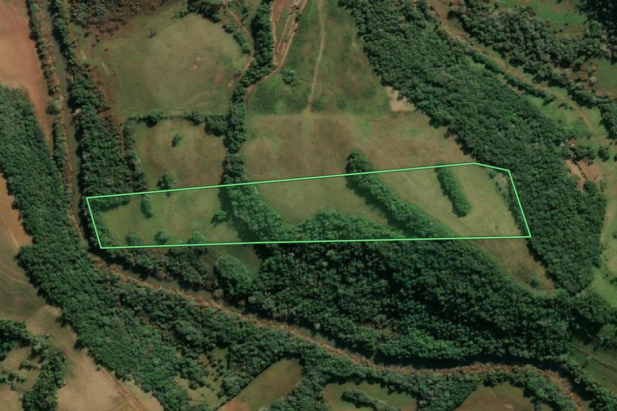 Imagem de satélite do imóvel rural em Tucunduva (RS), com o contorno declarado no CAR desenhado por cima.