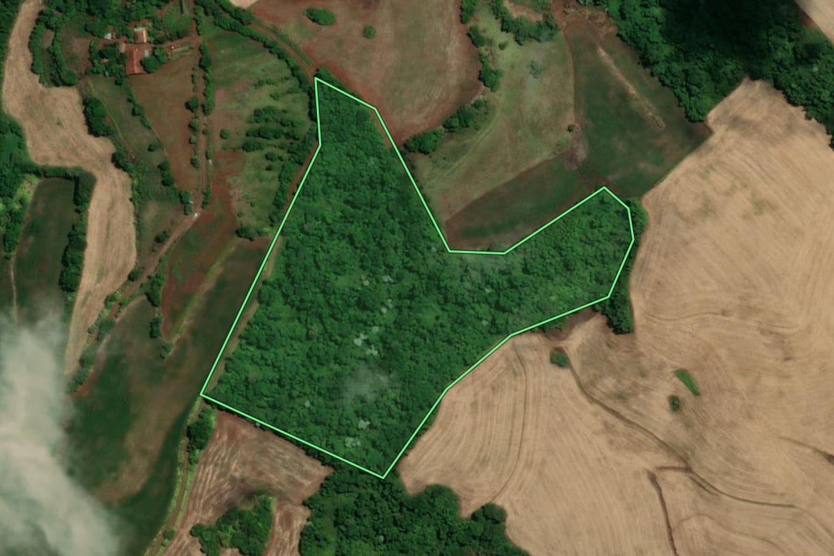 Imagem de satélite do imóvel rural em Tucunduva (RS), com o contorno declarado no CAR desenhado por cima.