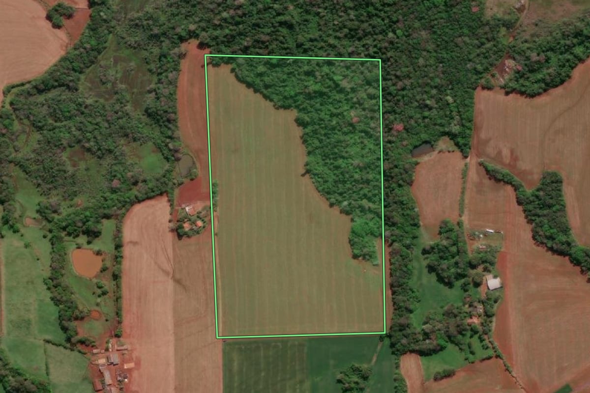 Imagem de satélite do imóvel rural em Tucunduva (RS), com o contorno declarado no CAR desenhado por cima.