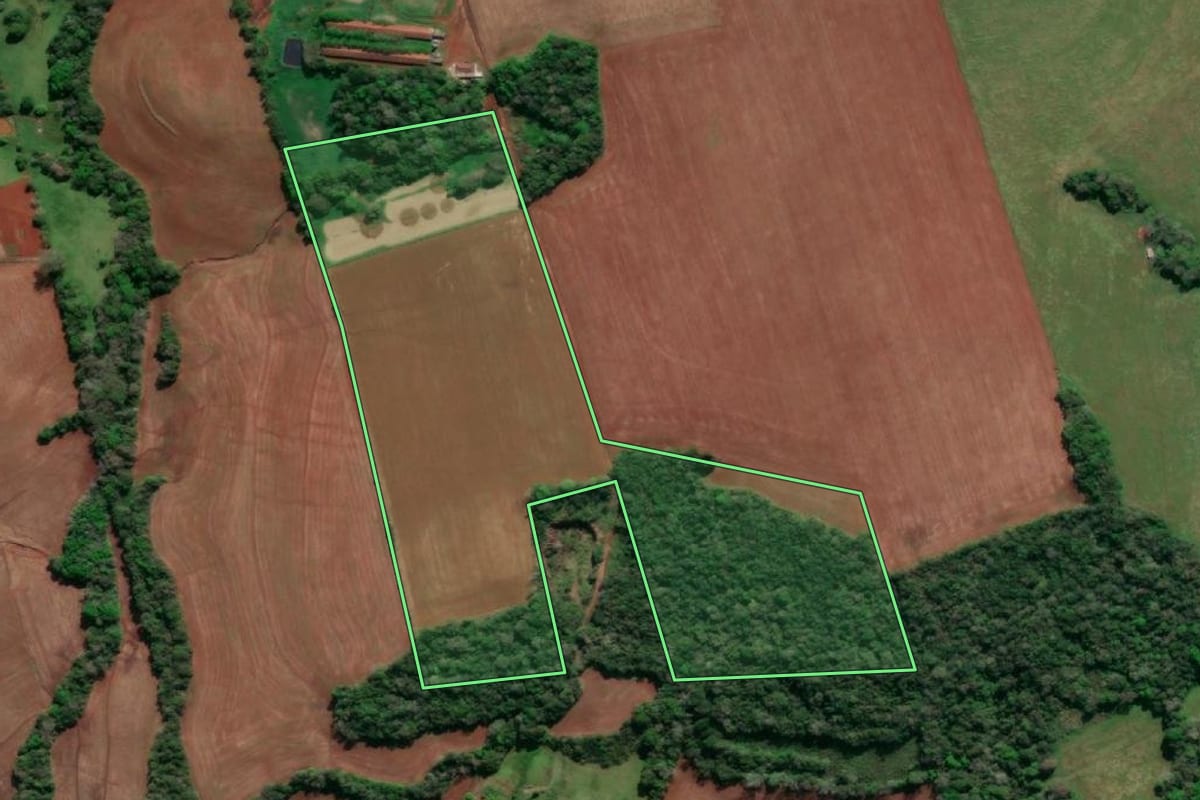 Imagem de satélite do imóvel rural em Tucunduva (RS), com o contorno declarado no CAR desenhado por cima.