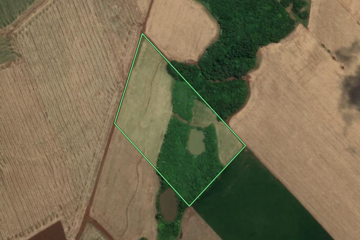 Imagem de satélite do imóvel rural em Tucunduva (RS), com o contorno declarado no CAR desenhado por cima.