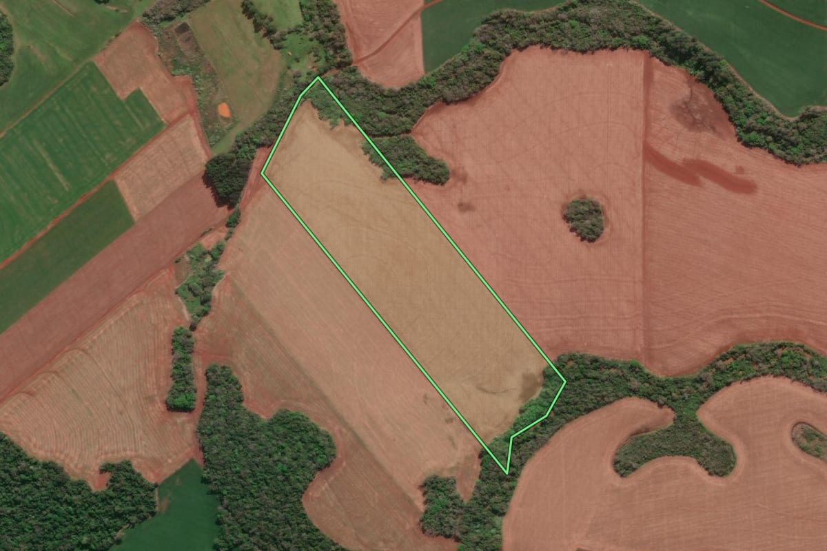 Imagem de satélite do imóvel rural em Tucunduva (RS), com o contorno declarado no CAR desenhado por cima.