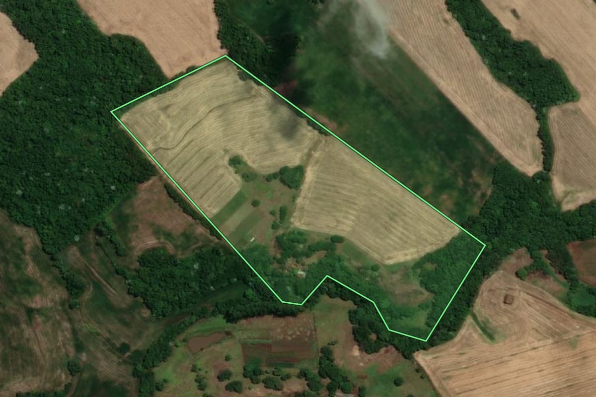 Imagem de satélite do imóvel rural em Tucunduva (RS), com o contorno declarado no CAR desenhado por cima.