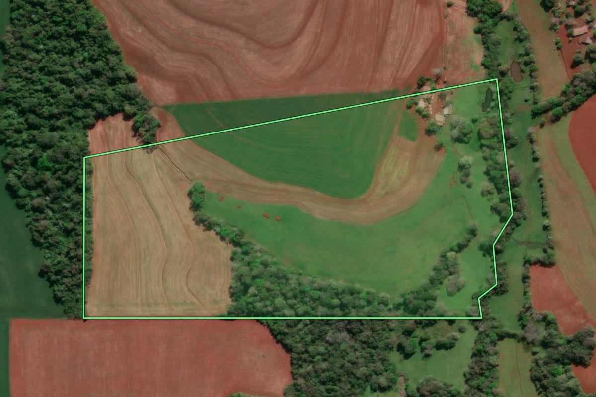 Imagem de satélite do imóvel rural em Tucunduva (RS), com o contorno declarado no CAR desenhado por cima.