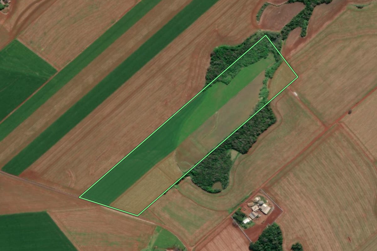 Imagem de satélite do imóvel rural em Tucunduva (RS), com o contorno declarado no CAR desenhado por cima.