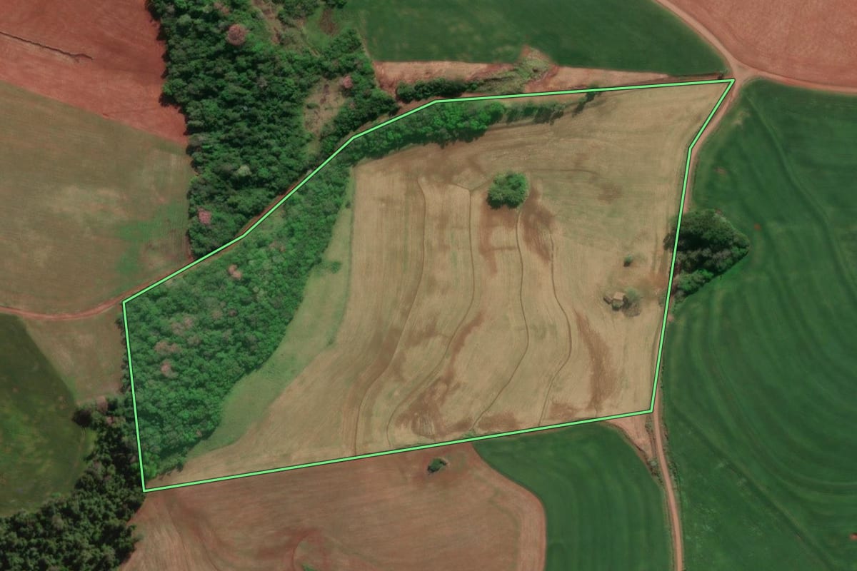 Imagem de satélite do imóvel rural em Tucunduva (RS), com o contorno declarado no CAR desenhado por cima.