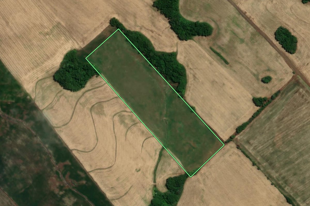 Imagem de satélite do imóvel rural em Tucunduva (RS), com o contorno declarado no CAR desenhado por cima.