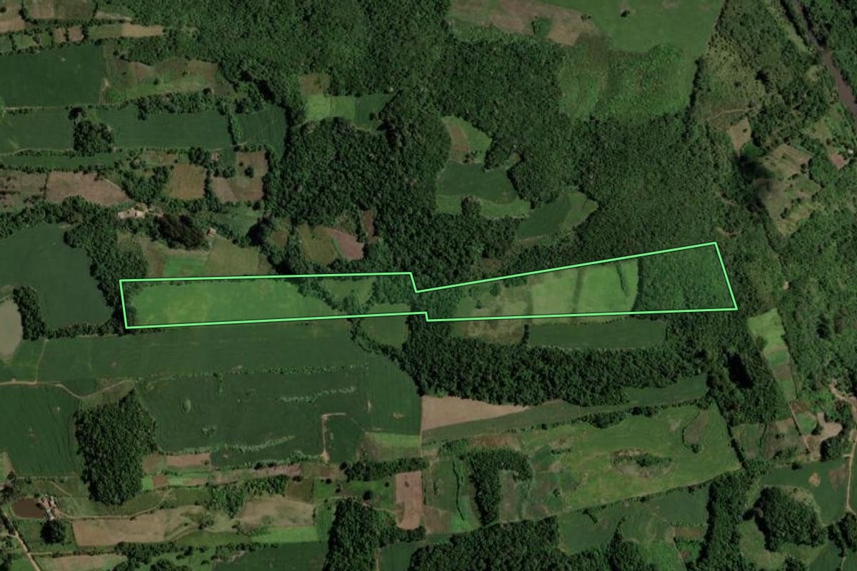 Imagem de satélite do imóvel rural em Tunas (RS), com o contorno declarado no CAR desenhado por cima.