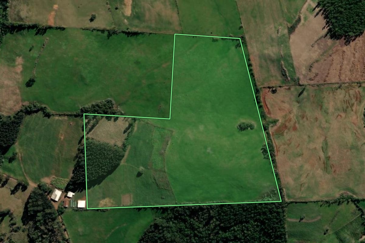 Imagem de satélite do imóvel rural em Tunas (RS), com o contorno declarado no CAR desenhado por cima.