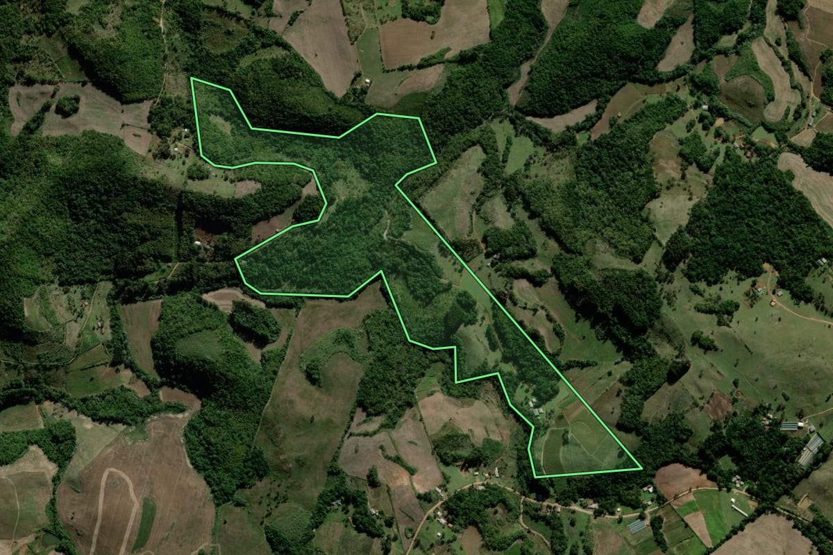 Imagem de satélite do imóvel rural em Tunas (RS), com o contorno declarado no CAR desenhado por cima.
