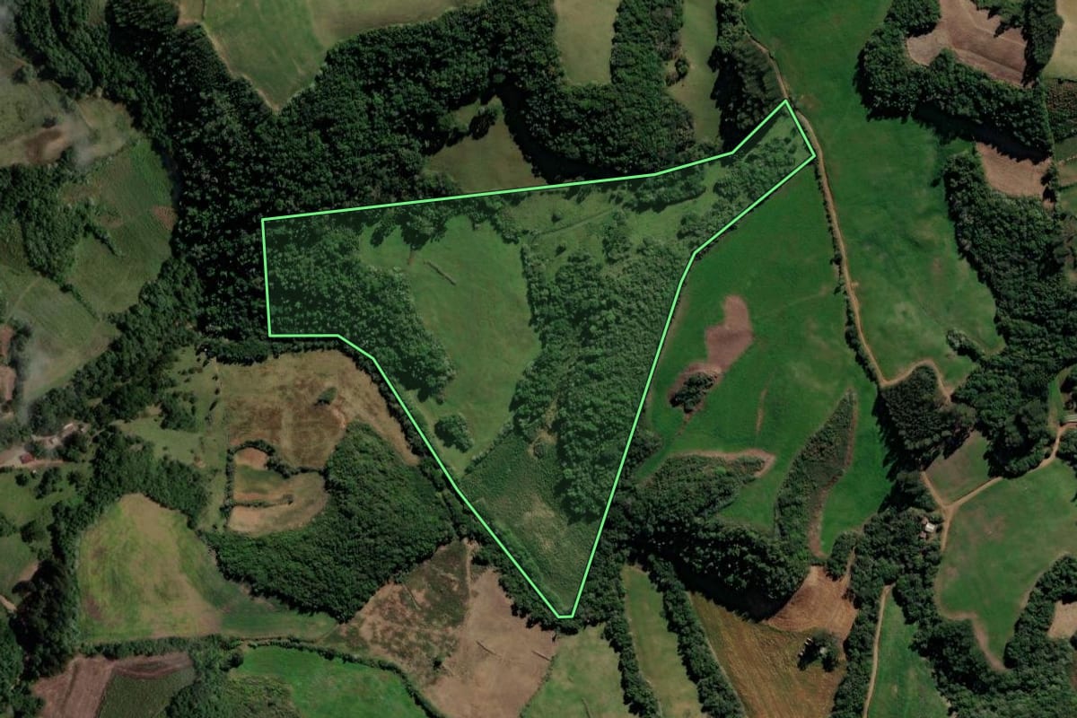 Imagem de satélite do imóvel rural em Tunas (RS), com o contorno declarado no CAR desenhado por cima.