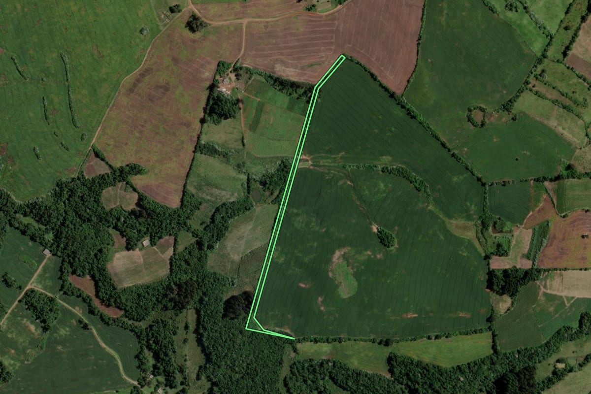Imagem de satélite do imóvel rural em Tunas (RS), com o contorno declarado no CAR desenhado por cima.