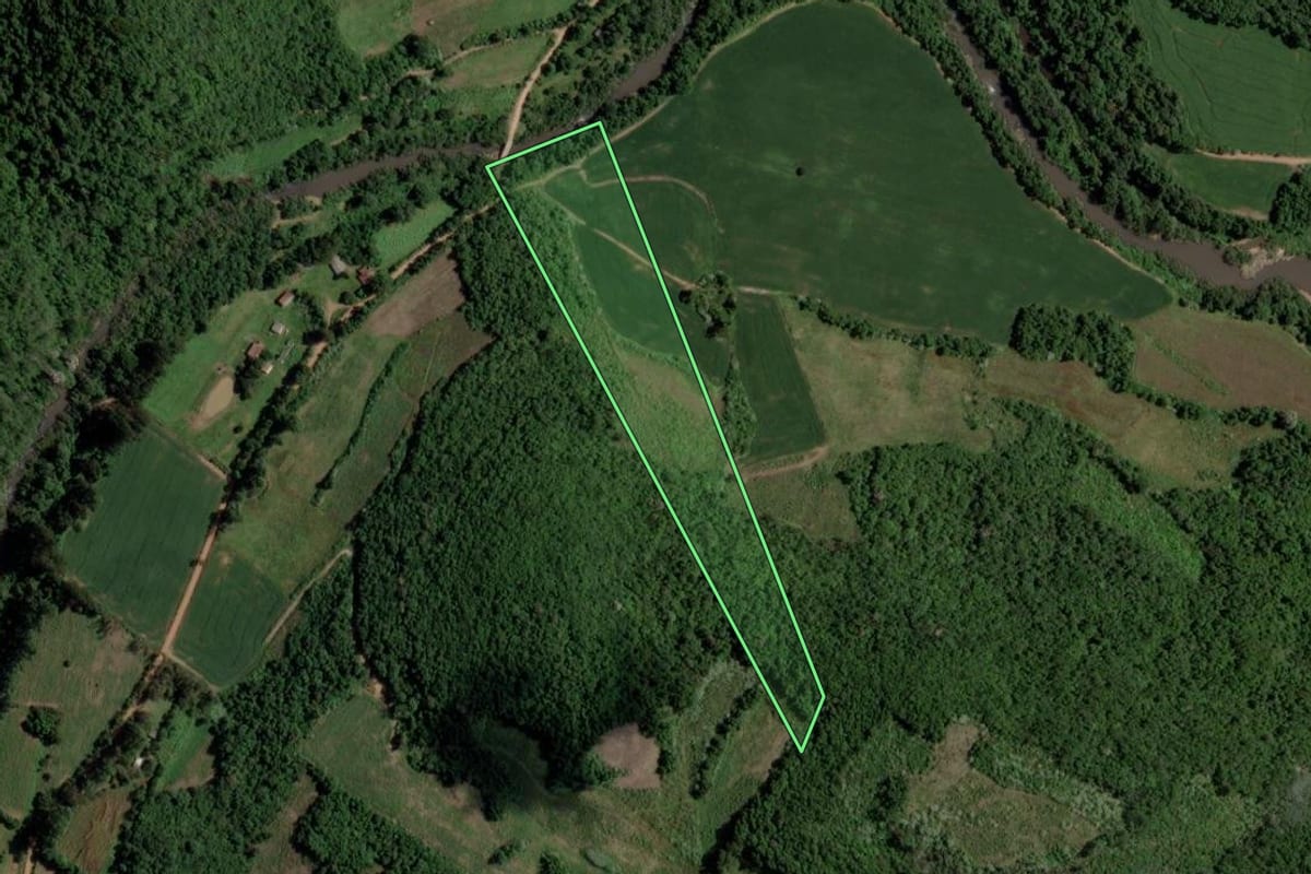 Imagem de satélite do imóvel rural em Tunas (RS), com o contorno declarado no CAR desenhado por cima.