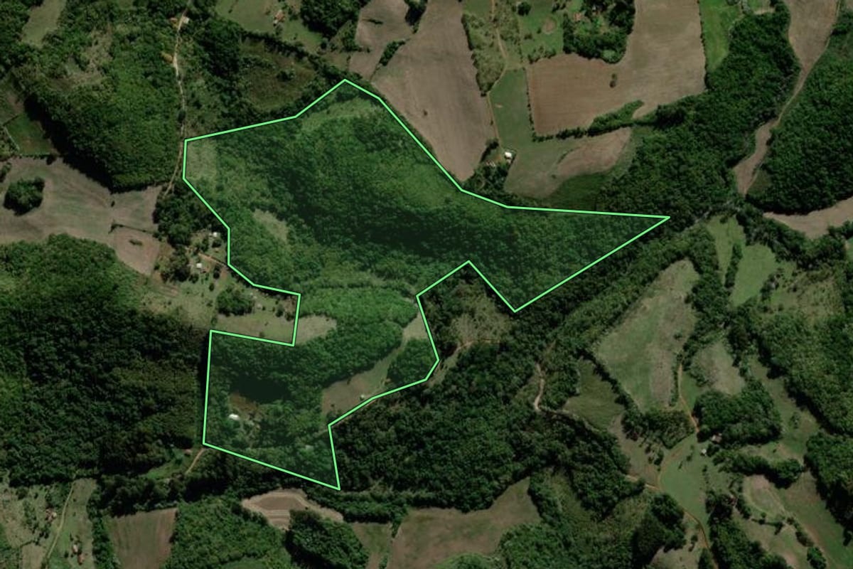 Imagem de satélite do imóvel rural em Tunas (RS), com o contorno declarado no CAR desenhado por cima.
