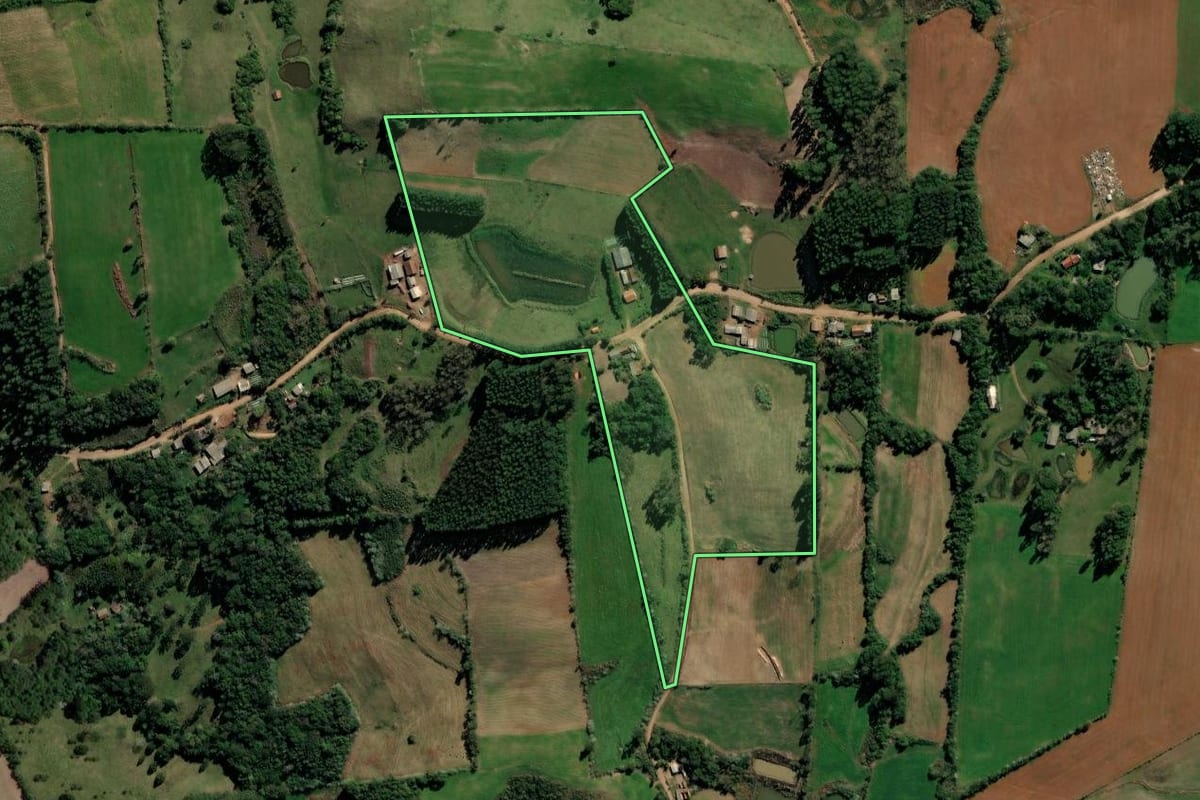 Imagem de satélite do imóvel rural em Tunas (RS), com o contorno declarado no CAR desenhado por cima.