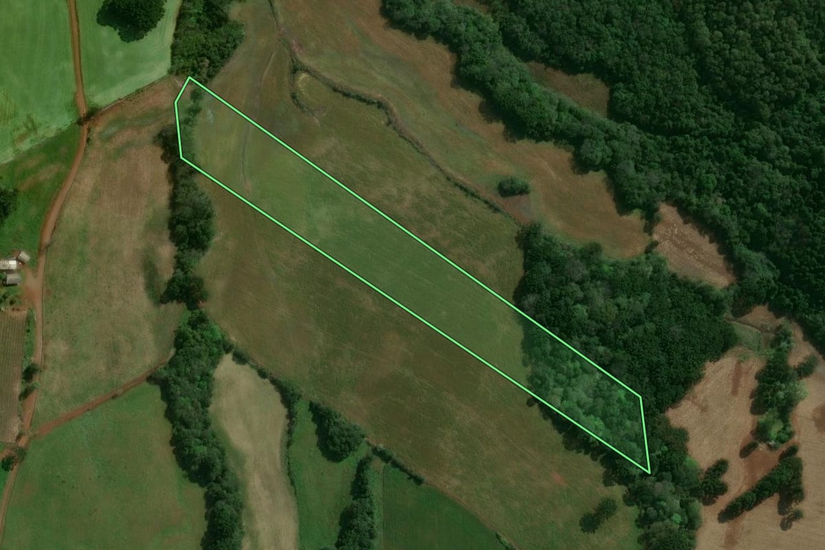 Imagem de satélite do imóvel rural em Tupanci do Sul (RS), com o contorno declarado no CAR desenhado por cima.