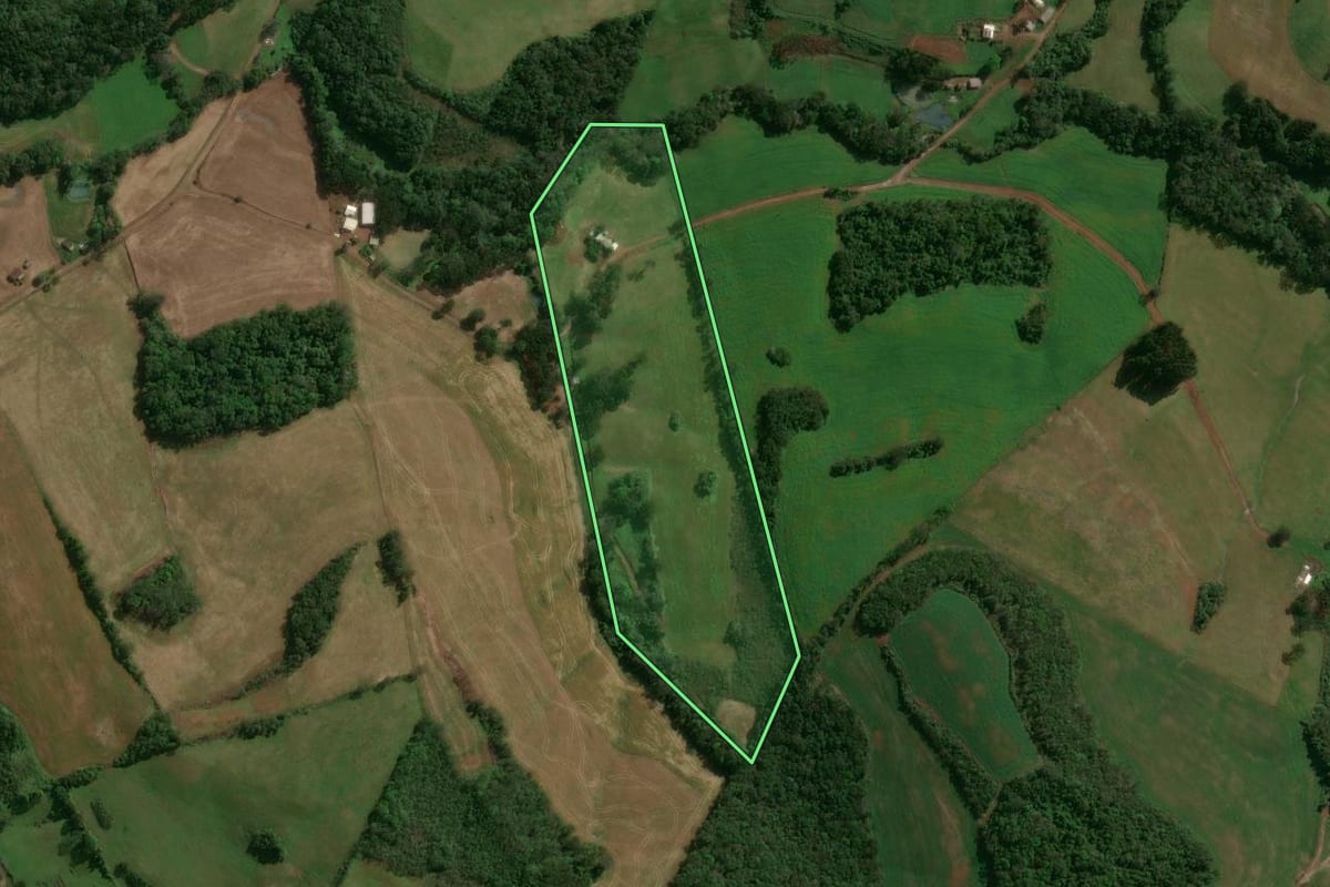Imagem de satélite do imóvel rural em Tupanci do Sul (RS), com o contorno declarado no CAR desenhado por cima.