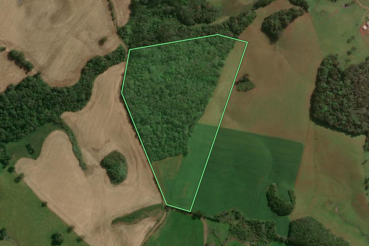Imagem de satélite do imóvel rural em Tupanci do Sul (RS), com o contorno declarado no CAR desenhado por cima.