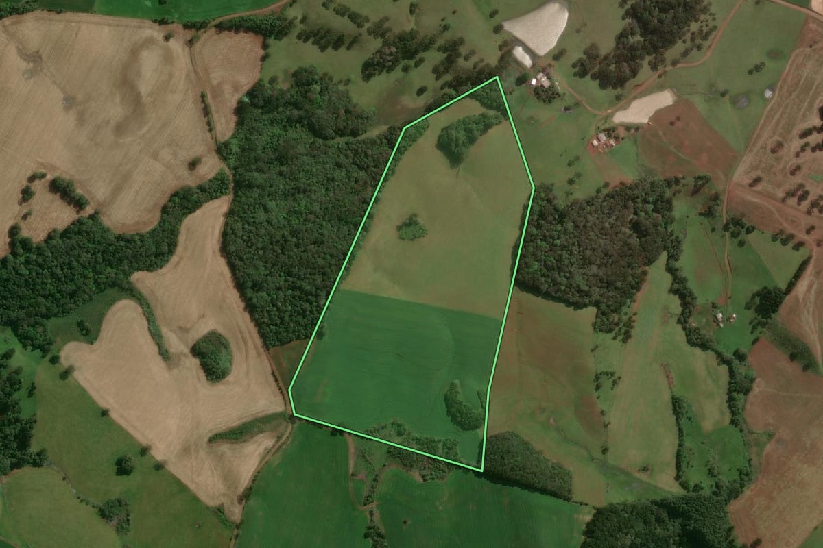 Imagem de satélite do imóvel rural em Tupanci do Sul (RS), com o contorno declarado no CAR desenhado por cima.