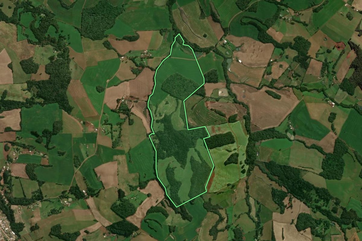Imagem de satélite do imóvel rural em Tupanci do Sul (RS), com o contorno declarado no CAR desenhado por cima.