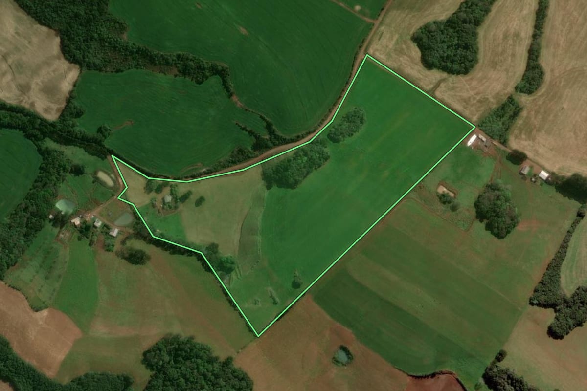 Imagem de satélite do imóvel rural em Tupanci do Sul (RS), com o contorno declarado no CAR desenhado por cima.