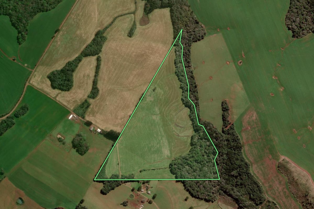 Imagem de satélite do imóvel rural em Tupanci do Sul (RS), com o contorno declarado no CAR desenhado por cima.