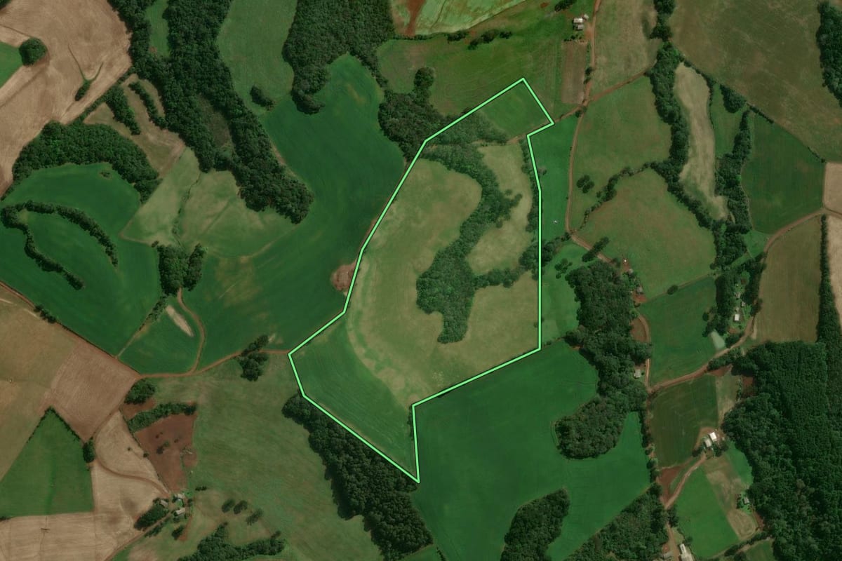 Imagem de satélite do imóvel rural em Tupanci do Sul (RS), com o contorno declarado no CAR desenhado por cima.